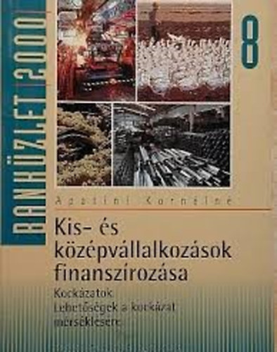 Apatini Korn�ln� - Kis- �s k�z�pv�llalkoz�sok finansz�roz�sa 8.