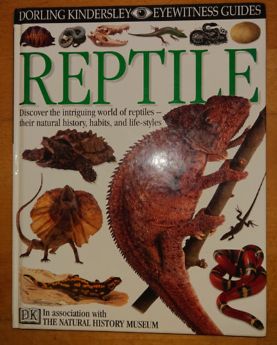 Reptile (Dorling Kindersley)