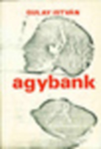 Gulay István - Agybank