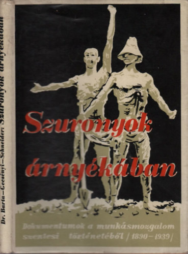 Dr. Gecs�nyi L., Schneider M.  Barta L. (szerk.) - Szuronyok �rny�k�ban