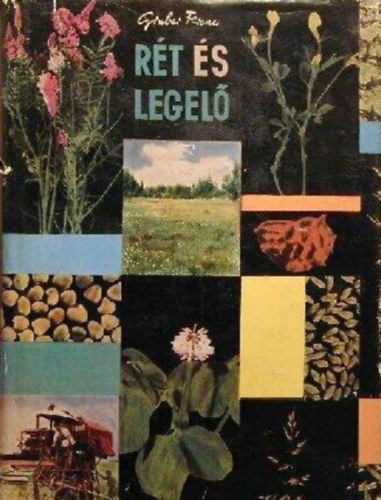 Dr. Grbner Emil  Gruber Ferenc (lektor), Kemenessy Ern (lektor) - Rt s legel - Msodik, bvtett s tdolgozott kiads