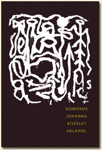 Domokos Johanna - Kísérlet valahol