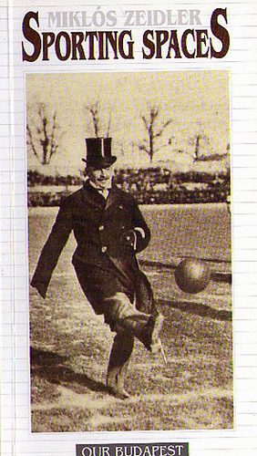 Mikl�s Zeidler - Sporting Spaces