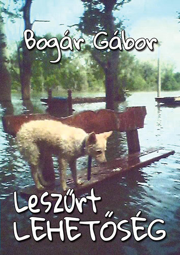 Bogr Gbor - Leszrt lehetsg