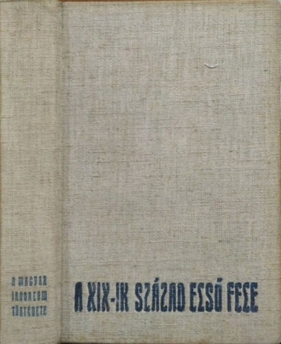 Alszeghy Zsolt  (szerk.) - Brisits Frigyes - A magyar irodalom t�rt�nete, V. k�tet - A XIX-ik sz�zad els� fele