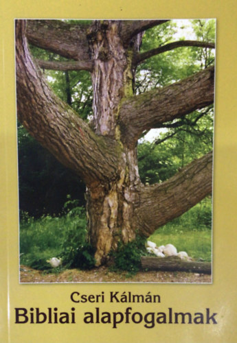 Cseri K�lm�n - Bibliai alapfogalmak