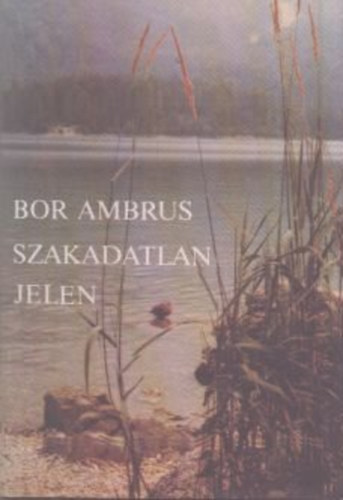 Bor Ambrus - Szakadatlan jelen (dedik�lt)