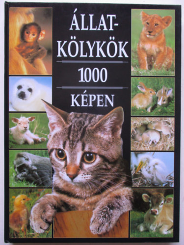 Direkt Marketing Millennium K. - Állatkölykök 1000 képen