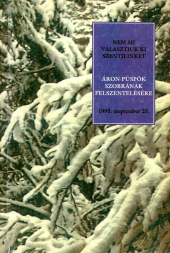 Zepeczaner Jen  (szerk.) Lrincz Gyrgy (szerk.) - Nem mi vlasztjuk ki szentjeinket - ron pspk szobrnak felszentelsre, 1995. szeptember 23.
