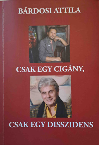 B�rdosi Attila - Csak egy cig�ny, csak egy disszidens