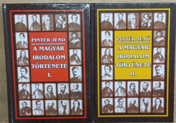 Pintr Jen - A magyar irodalom trtnete I-II.