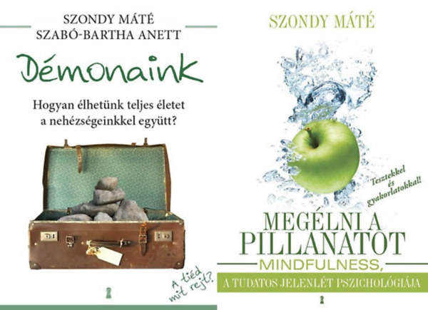 Dr. Szondy Máté Szabó-Bartha Anett - 2 db Szondy Máté pszichológia könyv: Démonaink - Hogyan élhetünk teljes életet a nehézségeinkkel együtt? + Megélni a pillanatot - Mindfullness, a tudatos jelenlét pszichológiája