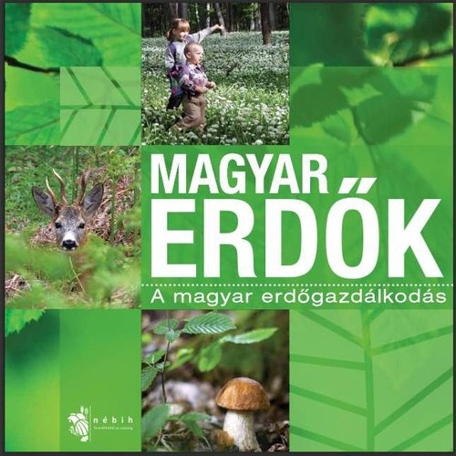 Szerk. Kovácsevics Pál - Magyar erdők (A magyar erdőgazdálkodás)