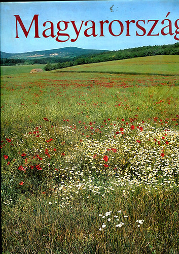 Szelényi Károly - Magyarország