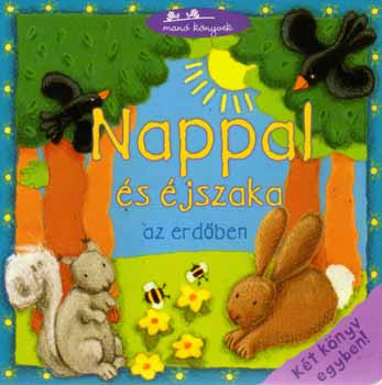 Nappal és éjszaka az erdőben