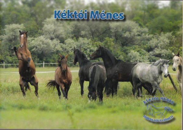 Kucsora István - Kéktói Ménes 2006