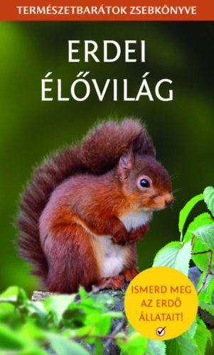 Stephanie, Joanne, Kirkby Jones - Erdei lvilg