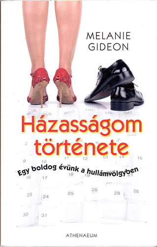 Melanie Gideon - Hzassgom trtnete - Egy boldog vnk a hullmvlgyben