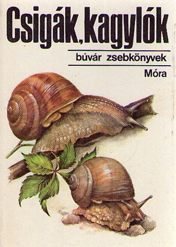 Dr. Krolopp Endre - Csigák,kagylók (Búvár zsebkönyvek)