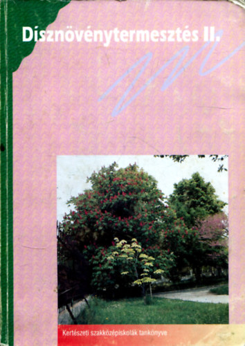 Dsznvnytermeszts II.
