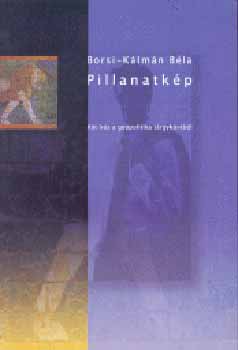 Borsi-Kálmán Béla - Pillanatkép