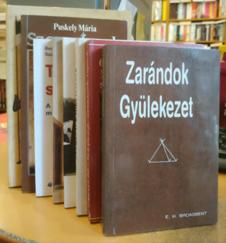 Edmund Hamer Broadbent, Vany Lszl, Johanna Lanczkowski, Benk Antal S. J., Szentmrtoni Mihly S. J., Puskely Mria, Gmbs Tams George Zarnecki - 8 db keresztnysg: Kolostorok, szerzetesek, bartok; Zarndok, gylekezet; "Legyetek tkletesek..."; Ahol a csend magasztal; Szerzetessg kislexikona; Testvreink szolglatban; Szerzetesek; A szerzetes s lovagrend cmerei s viselet