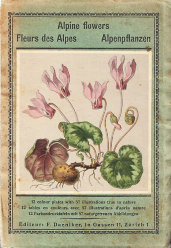 F. Daeniker - Alpine Flowers - Fleur des Alpes - Alpenpflanzen