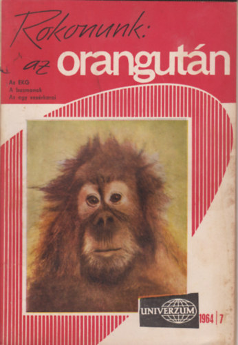 Univerzum - Rokonunk: az orángután (1964/7)