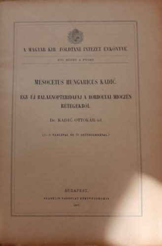 Kadic Ottok�r dr. - A Magyar Kir�lyi F�ldtani Int�zet �vk�nyve XVI. k�tet 2. f�zet - Egy �j Balaenopterida faj a borbolyai miocz�n r�tegekb�l