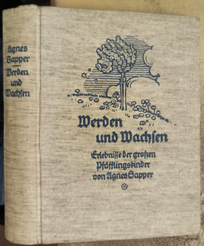 Agnes Sapper - Werden und Wachsen: Erlebnisse der grossen Pfäfflingskinder