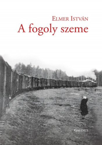 Elmer István - A fogoly szeme