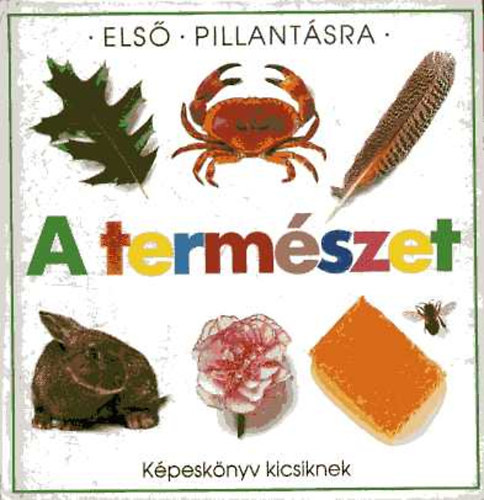 A termszet (Els pillantsra 10.)