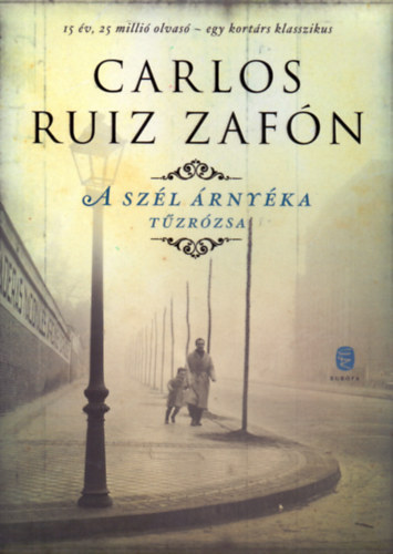 Carlos Ruiz Zafn - A szl rnyka