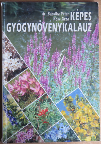 Dr. Babulka P�ter-K�sa G�za - K�pes gy�gyn�v�nykalauz