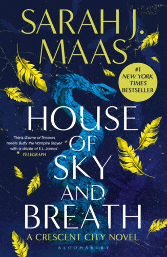 Sarah J. Maas - House of Sky and Breath