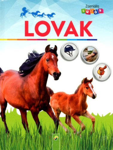 Anja Schriever - Zseniális tudás: Lovak