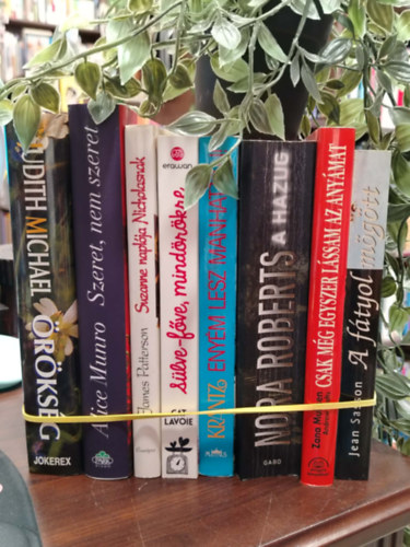 Judith Michael Alice Munro James Patterson Cat Lavoie Judith Krantz Nora Roberts Zana Muhsen Jean Sasson - KÖNYVMENTŐ AJÁNLAT, SZÓRAKOZTATÓ IRODALOM, 8 DB. Örökség, Szeret, nem szeret, Suzanne naplója Nicholasnak, Sülve-főve mindörökké, Enyém lesz Manhattan!, A hazug, Csak még egyszer lássam az anyámat, A fátyol mögött