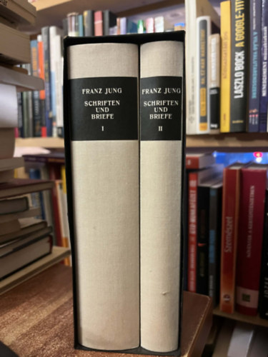 Franz Jung - Schriften und Briefe I-II