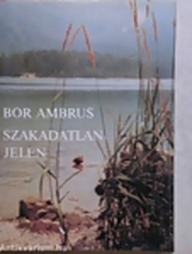 Bor Ambrus - Szakadatlan jelen