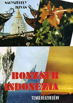Nagyszékely István - Bonzsúr Indonézia