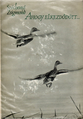 Szchenyi Zsigmond - Ahogy elkezddtt...