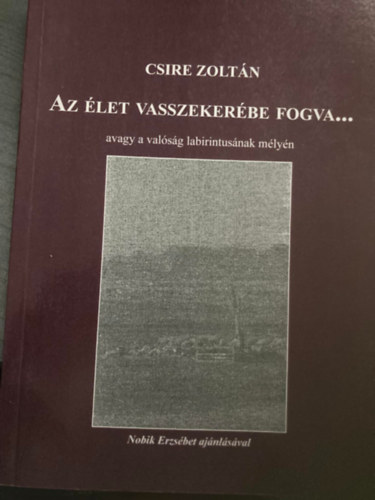 Csire Zoltn - Az let vasszekerbe fogva... avagy a valsg labirintusnak mlyn