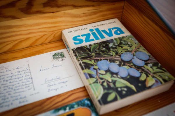 Dr. T�th Elek Dr. Sur�nyi Dezs� Gergely Istv�n Pek� J�zsef Bogn�r S�ndor Kov�cs Gabriella K�llay Tam�sn� - Szilva