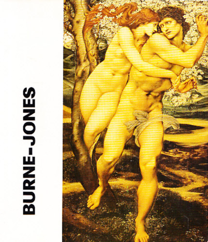 Srmny Ilona - Burne-Jones (a mvszet kisknyvtra) (dediklt)