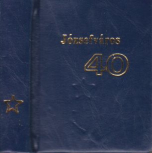 Szigeti Piroska Tóthné Deigner Anna - Józsefváros 40. (minikönyv)