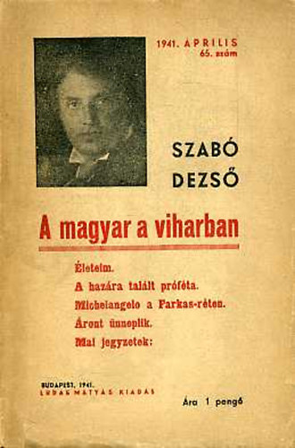 Szab Dezs - A magyar a viharban. leteim. A hazra tallt prfta, Michelangelo a Farkas-rten. ront nneplik. Mai jegyzetek.