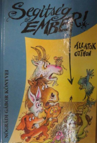 N�gr�di G�bor - Seg�ts�g, ember!