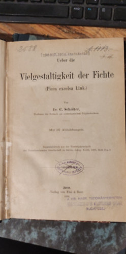 Posewitz A. Guido - A Rkushegy geolgija klns tekintettel a suvadsokra