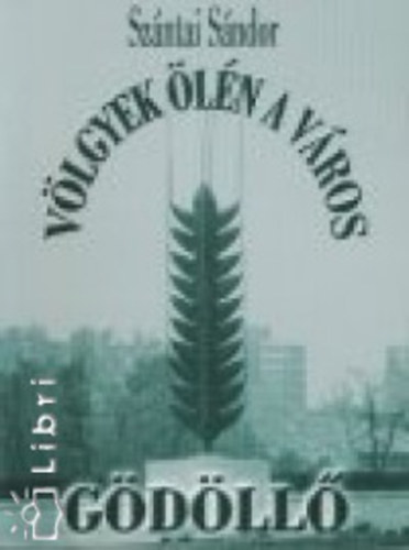 Sz�ntai S�ndor - V�lgyek �l�n a v�ros - G�d�ll�