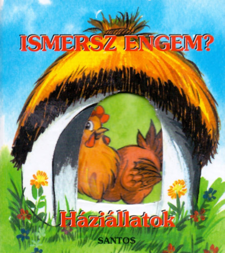 Radvny Zsuzsa - Ismersz engem? - Hzillatok